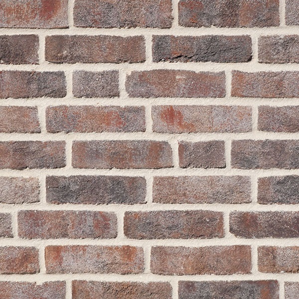 rbn_wasserstrich_buntgrau_0