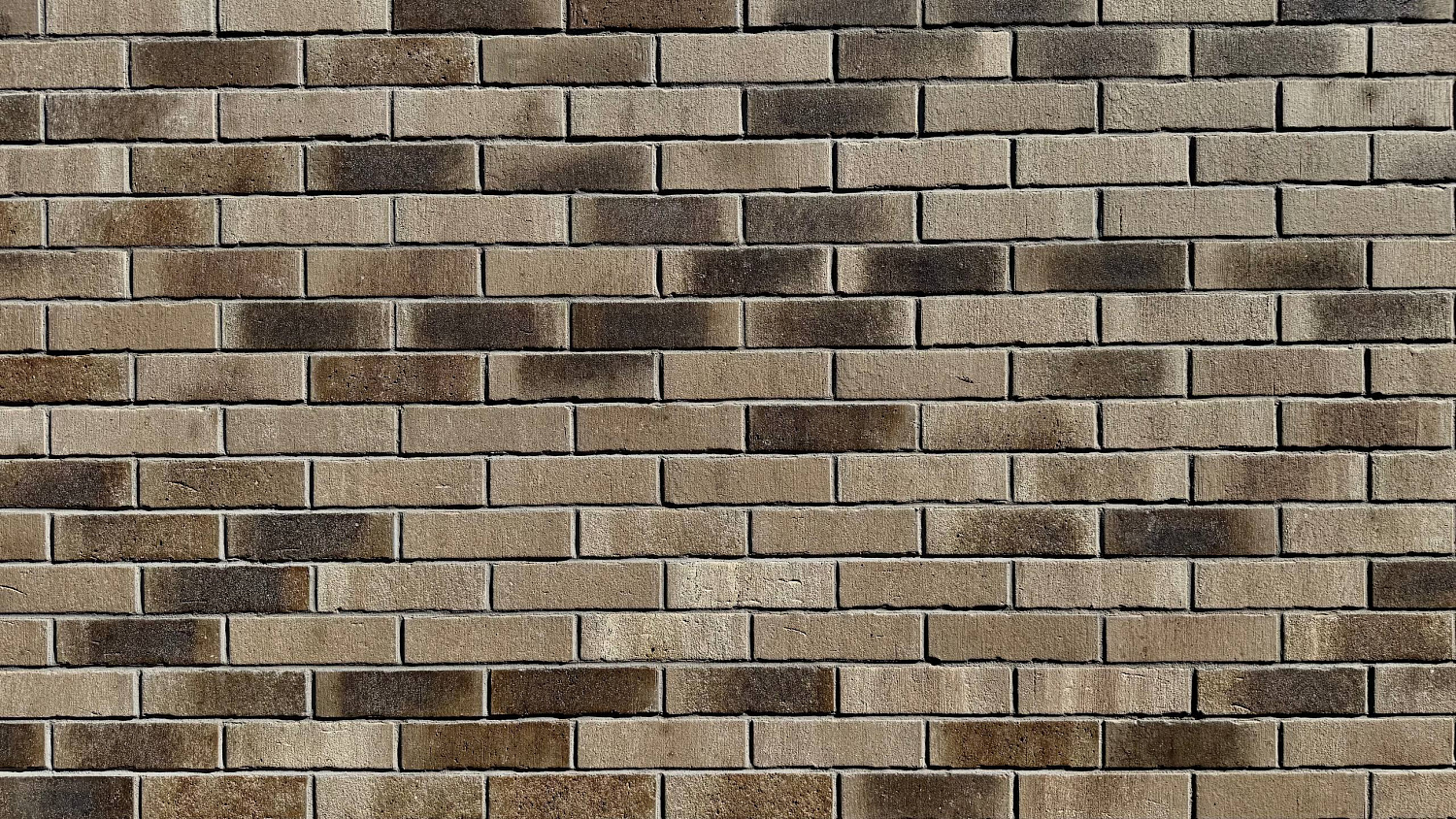 Акцент на цвет: Feldhaus Klinker vascu argo antrablanca