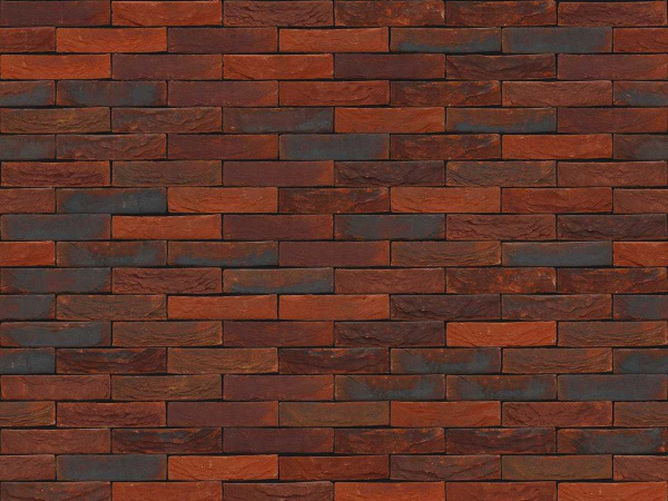 nelissen_passionsalto_0