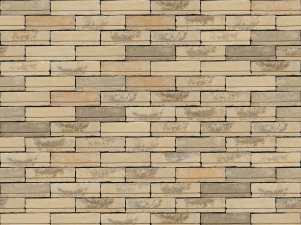 nelissen_dubio_monet_0