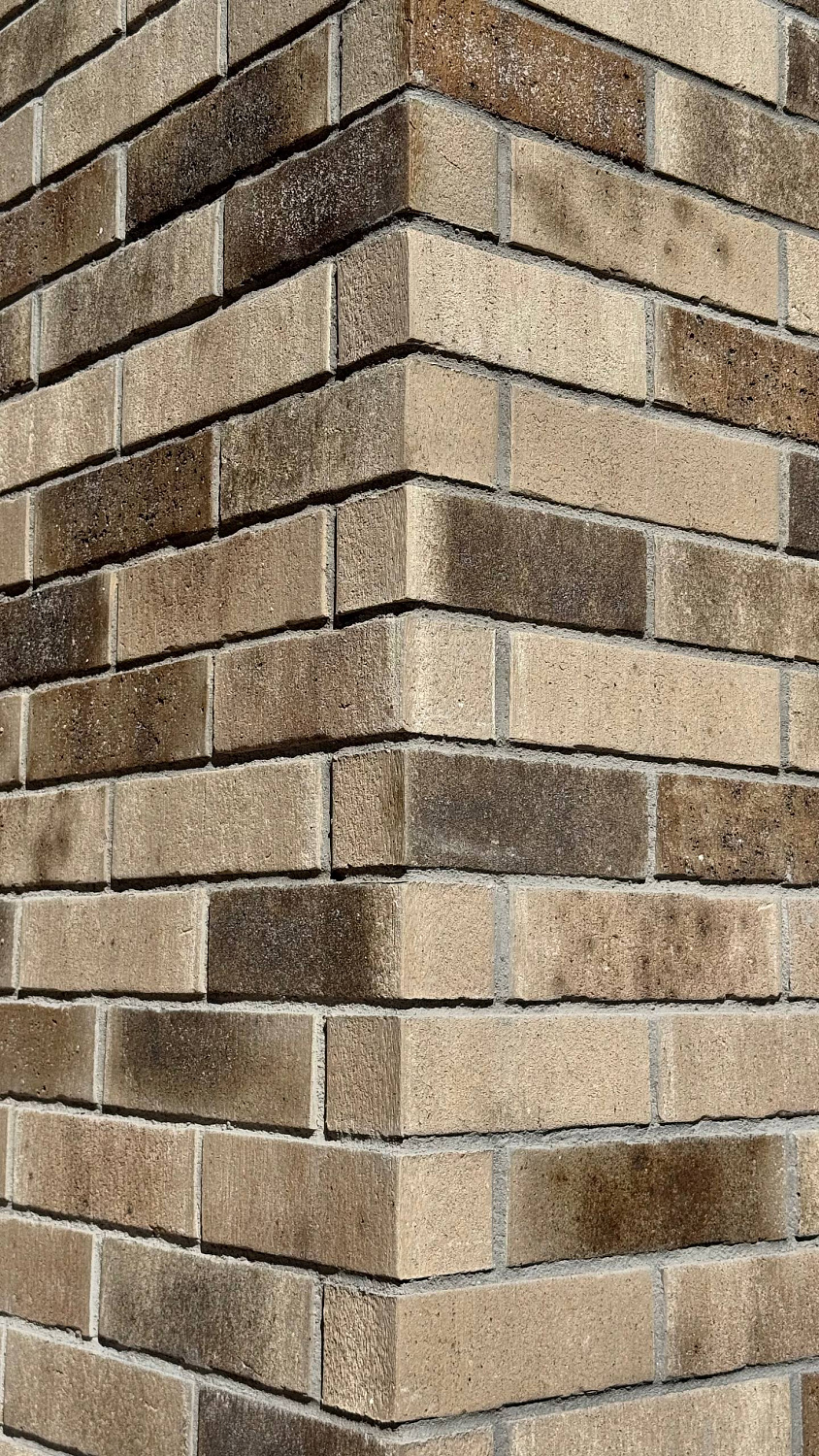 Акцент на цвет: Feldhaus Klinker vascu argo antrablanca