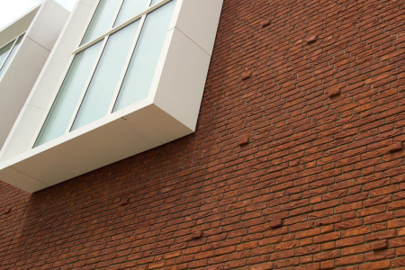 nelissen_aubergine_1