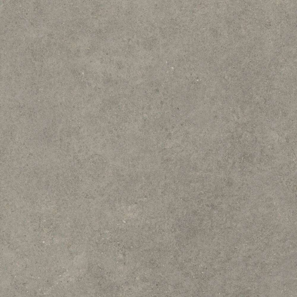 lfdmr_grey_0