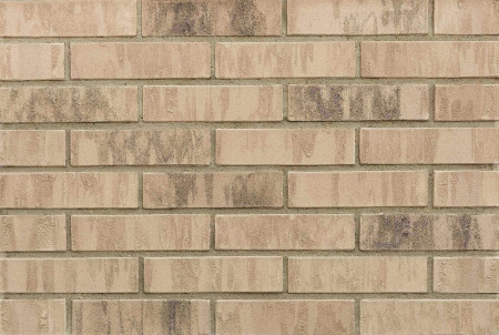 don_zori_makarovsky_1