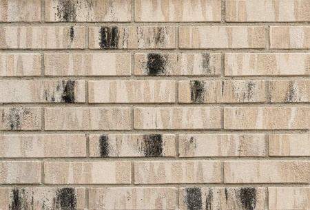 don_zori_ivanovsky_1