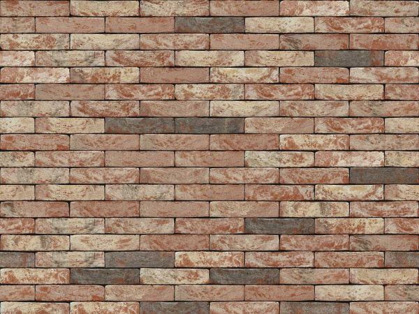 nelissen_nuanceneo_0