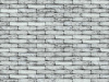 nelissen_koloroshadow_0