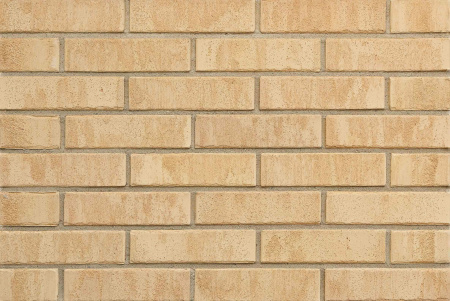 don_zori_tavricheskiy_1