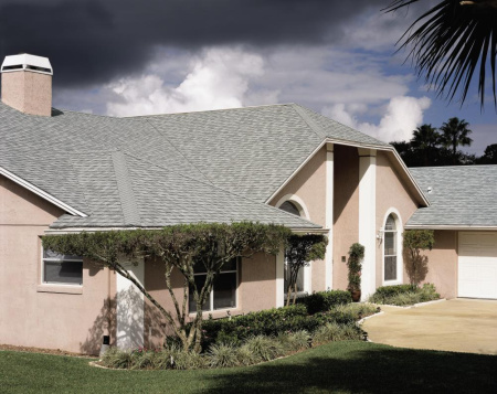 cer_landmark_silver_birch_1