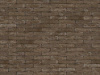 nelissen_obscuromuria_0
