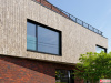 nelissen_dubio_roca_1