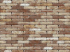 nelissen_classico_oldhaspengouw_0