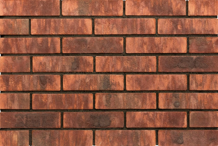 don_zori_demidovsky_1