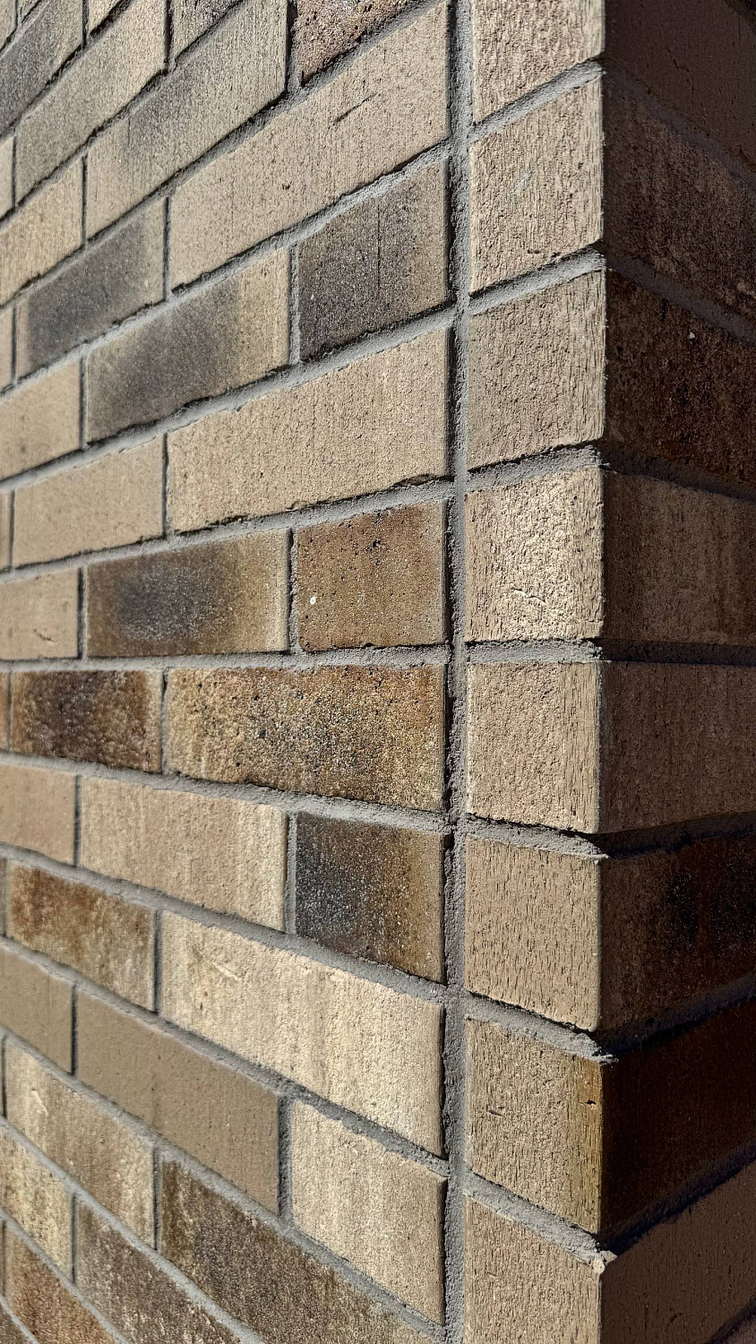 Акцент на цвет: Feldhaus Klinker vascu argo antrablanca