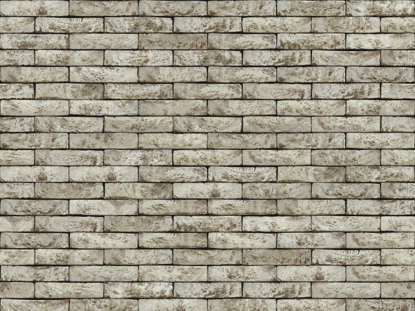 nelissen_grigioborlo_0