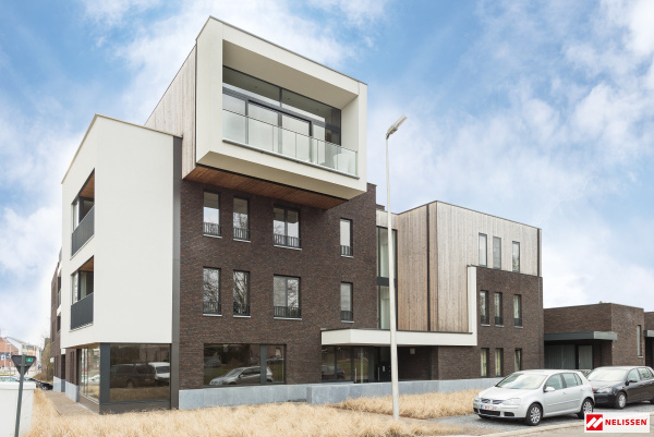 nelissen_obscurocassis_1